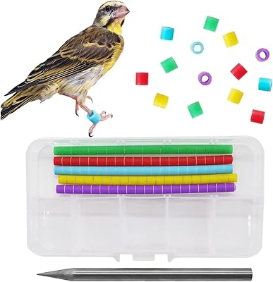 100pcs bandes de pattes d'oiseau vioprile pour anneaux de pied de canari pinson
