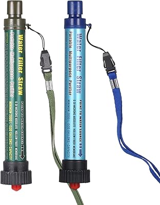 Filtre à eau extérieur, paquet de 2 pailles de filtre à eau, dispositif