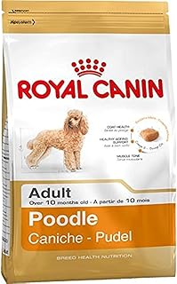 Royal canin bread health nutrition nourriture pour chien pour caniches adultes - 1,5
