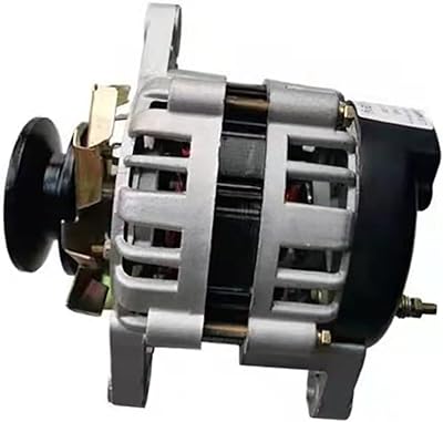 Générateur de moteur à aimant permanent 220 v berstenloser 1500 w petit générateur