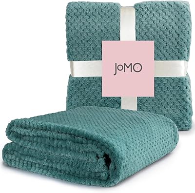 Couverture en flanelle rayée en peluche super douce taille simple (160x220) pour lit