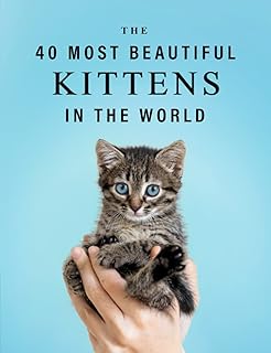 Les 40 plus beaux chatons du monde : un livre d'images en couleur