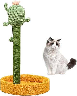 Arbre à chat grimpant pour chatons, tour à chat avec corde en sisal