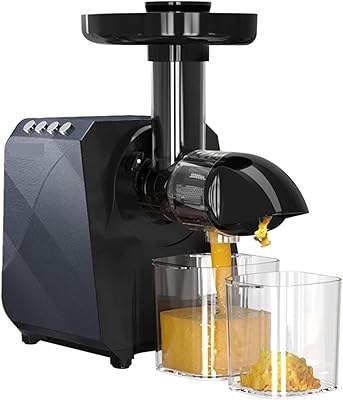 Centrifugeuse propfe, extracteur de jus à mastication lente 250 w pour vis végétale presse à froid jus de betterave fraîche mélangeur électrique appareil ménager. Le e-commerce qui respecte votre pouvoir d'achat : Diaytar