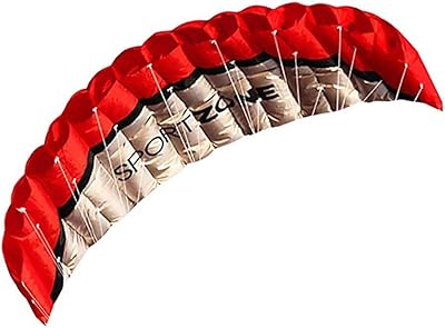 Parafoil double lignes logiciel de 2,5 m pour cerf-volant acrobatique, vol, surf, rainbow
