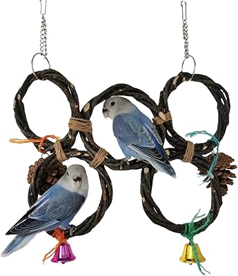 Jouets à mâcher beto bird avec cloche suspendue et pommes de pin cage