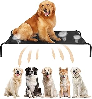 Lit pour chien et animal de compagnie, grand lit surélevé pour chien