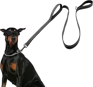 Laisse pour chiens de grande taille, 2 poignées pour un contrôle supplémentaire, 6