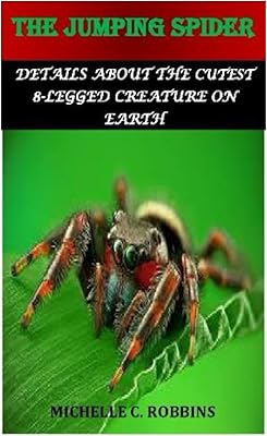 L'araignée sautante : détails sur la créature à 8 pattes la plus mignonne