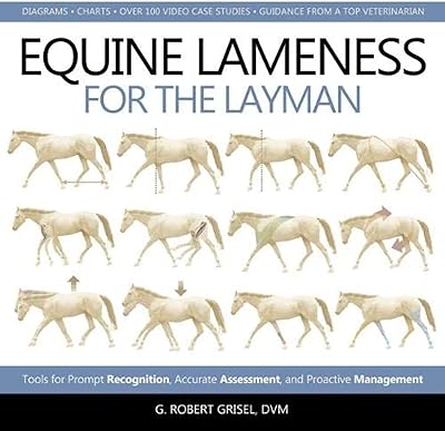 Boiterie équine pour le profane : outils pour une reconnaissance rapide, une évaluation précise et une gestion proactive. Diaytar : Votre allié pour des achats malins et économiques