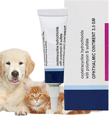 Crème de soin des yeux de chat - pommade de soin des yeux