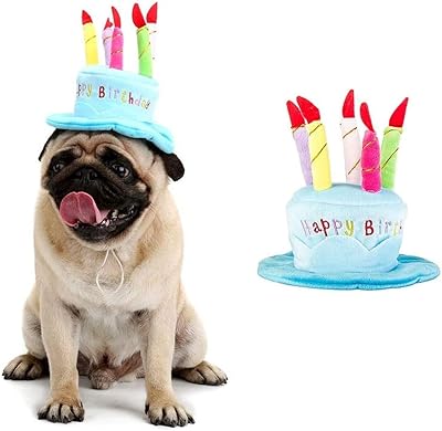 Chapeau de chien joyeux anniversaire chapeau de fête avec gâteau et 5