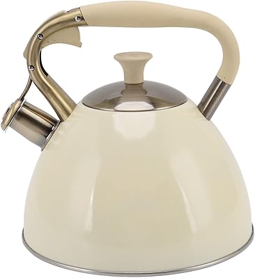Bouilloire à thé sifflet, bouilloire à thé en acier inoxydable 3l avec poignée