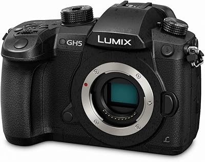 Boîtier d'appareil photo sans miroir panasonic lumix dc-gh5 uniquement 203