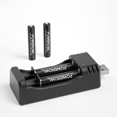 Batteries rechargeables powerwall 4a avec chargeur de batterie, batterie nimh haute capacité à
