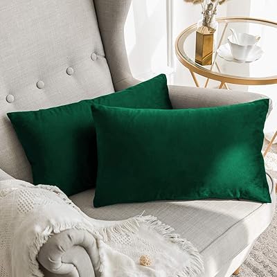 Housse de coussin réversible lavable kooty en velours lot de 1-12 x