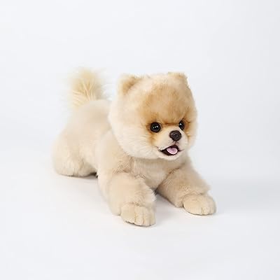16 pouces - jouet pour chien en peluche de poméranie, cadeau de chien
