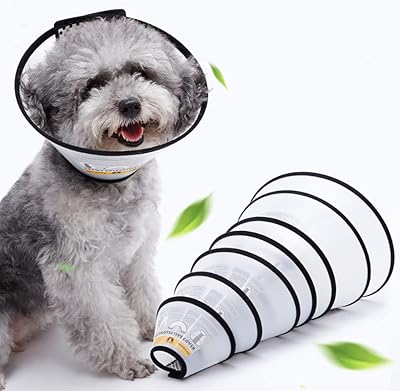 Collier de récupération pour chien et chat, collier conique réglable pour animaux