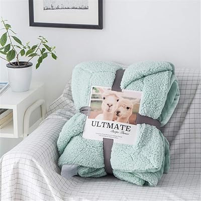 Couverture d'hiver en flanelle pelucheuse plus épaisse, légère et ultra douce, couverture polaire