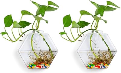 Pot de plante hexagonal en verre à suspendre au mur, vase d'intérieur