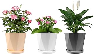 Pot de fleur en céramique de style marbre - pot de fleur cylindrique de cactus avec trou de drainage et plateau en bambou (lot de 3 en plastique). Diaytar : Où chaque achat est une victoire pour votre budget