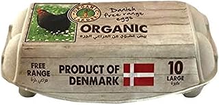 Gros œufs biologiques 10 pièces de garde-manger biologique
