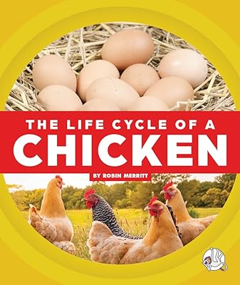 Le cycle de vie d'un poulet