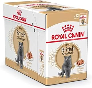 Alimentation humide pour les chats british shorthair