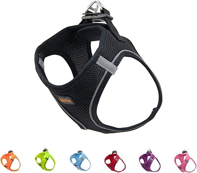 Harnais pour chien mignon pour chiens de petite et moyenne taille, harnais