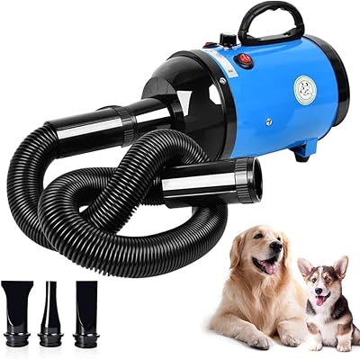 Sèche-poils pour animaux de compagnie pour chats et chiens, sèche-fourrure haute vitesse gluckluz