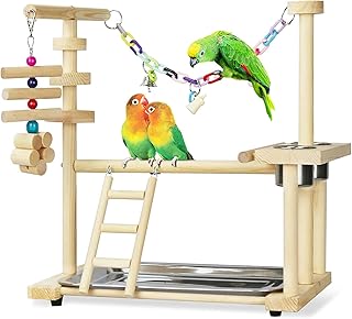 Support de jeu pour oiseaux newstyle parc d'entraînement avec échelle gobelet d'alimentation