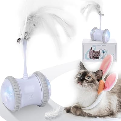 Jouets interactifs pour chat robot junshun avec lumières led colorées rechargeables par usb