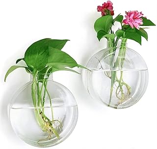 Vase à fleurs rond en verre mural nc