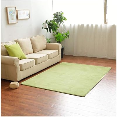 Tapis de velours corail éponge rebond super absorbant ultra doux tapis