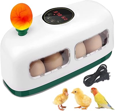 Incubateur de 8 œufs pour œufs à couver avec contrôle numérique de la température,