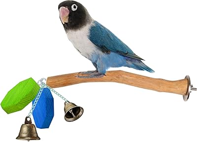 Jouet pour perroquet, petit support pour oiseaux avec cloche pour perroquet et jouets