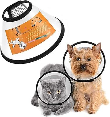 Momo bear petit collier conique pour animaux de compagnie, collier conique réglable