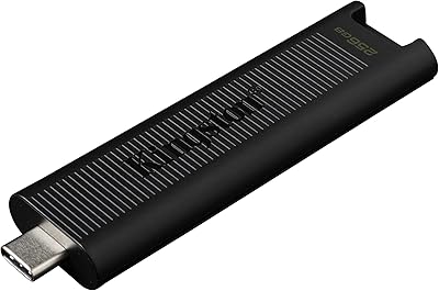 Clé usb c kingston data traveler max 256 go avec performances