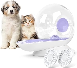 Distributeur d'eau pour chat bol de terrasse à gravité automatique de 28
