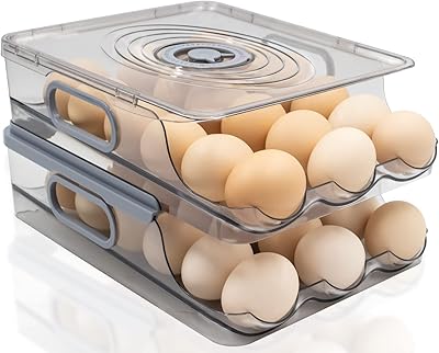 36 pièces porte-œufs pour réfrigérateur au fil du temps, conteneur organisateur d'œufs pour réfrigérateur, boîtes de rangement, conteneurs d'œufs avec couvercle, organisateur de réfrigérateur de cuisine 2 couches. Commandez malin, vivez mieux avec Diaytar