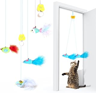 Jouets suspendus pour chat d'intérieur paquet de 4 cordes d'entraînement rétractables