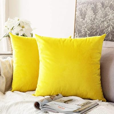 Housse de coussin réversible en velours lavable coty - 20 x 20 pouces/