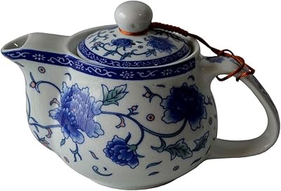 Théière en porcelaine de 17 oz avec filtre amovible en acier inoxydable