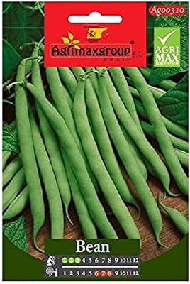 Graines de haricots verts agrimax