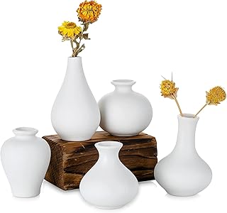 Ihearon vases en céramique ensemble de 5 petits vases décoration d'intérieur vase