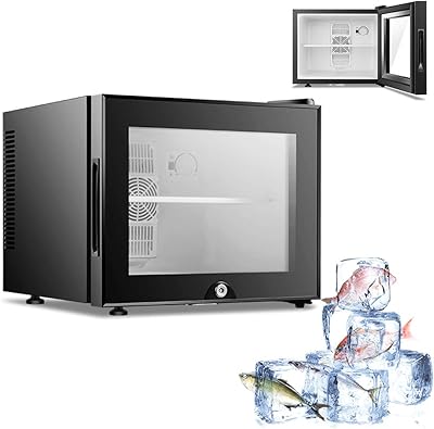 Mini réfrigérateur avec thermostat réglable, mini-réfrigérateur à porte vitrée double couche, mini-réfrigérateur