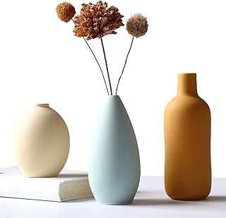 Ensemble de 3 vases en céramique, petit vase rustique pour décoration de maison