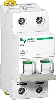 Schneider electric a9s65240 interrupteur dans tambour isw 2p 40 a, 240 v