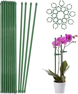 Goodrun 20 pièces piquets de support pour plantes, bâtons de plantes vertes