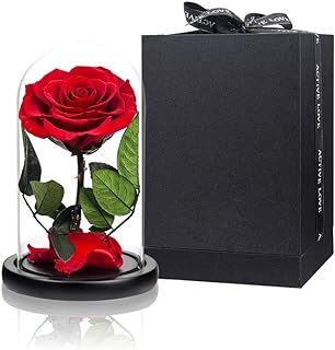 Véritable rose rouge préservée dans un dôme de verre, roses éternelles qui ne se fanent jamais, cadeaux pour les femmes pour la saint-valentin, la fête des mères, un anniversaire et noël. Diaytar : Votre partenaire e-commerce au quotidien